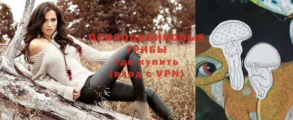 первитин Алексин