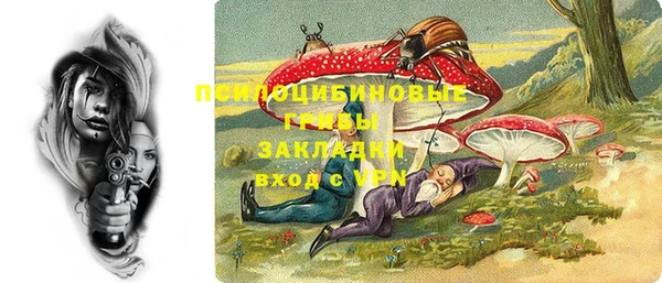 a pvp Алзамай